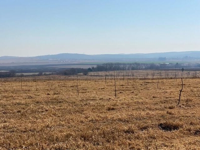 Farm For Sale In Winterton, Kwazulu Natal