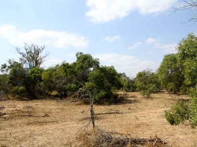 Lot For Sale In Moditlo Nature Reserve, Hoedspruit