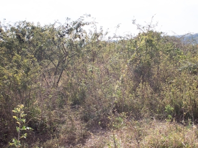 Vacant Land For Sale in Hazyview