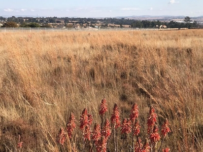 Vacant Land For Sale in Knoppieslaagte, Gauteng