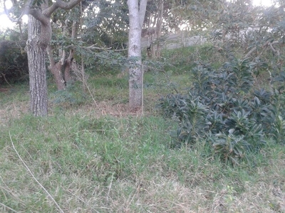 Vacant Land For Sale in Sea Park, Kwazulu Natal