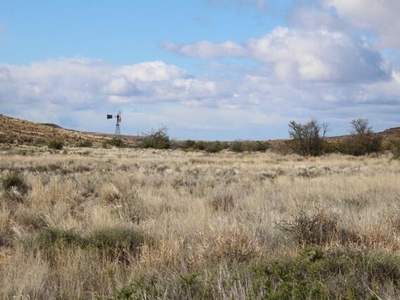 Farm For Sale In Merweville, Beaufort West