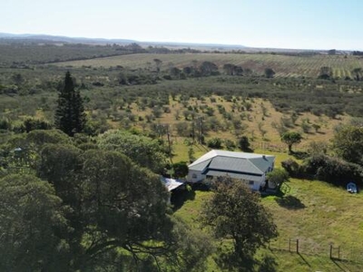 Farm For Sale In Bathurst, Eastern Cape