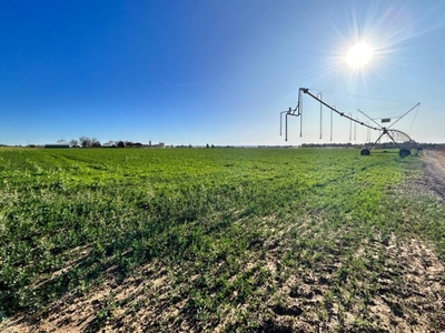 Farm For Sale In Hartswater, Northern Cape