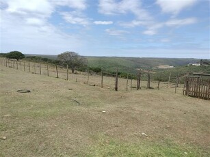 8.8 ha Farm in Uitenhage Rural