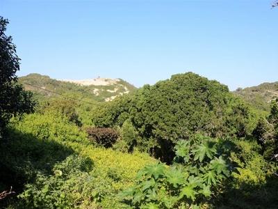 1001 m² Land available in East Bank