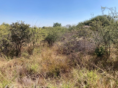 1,056m² Vacant Land For Sale in Seasons Lifestyle Estate