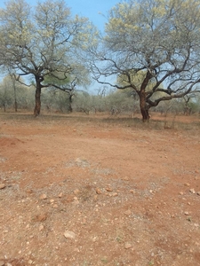 1,850m² Vacant Land Sold in Marloth Park