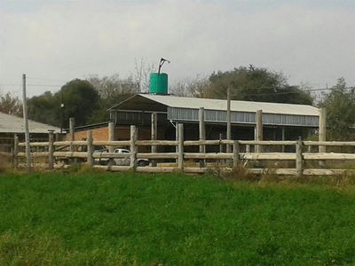 25.6 ha Farm in Hartswater