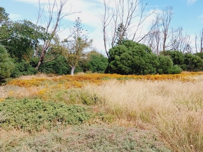 Land for sale , Shelley Point, St Helena Bay