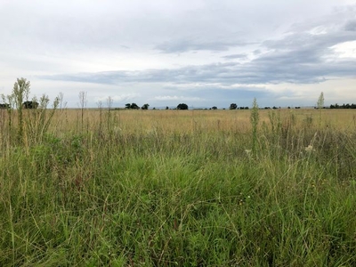 4Ha Vacant Land For Sale in Withok Estate