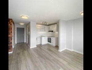 1 bed property to rent in observatory