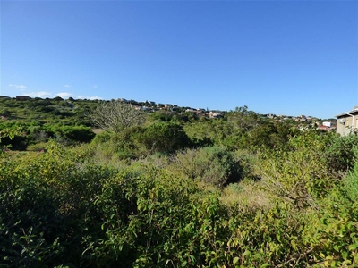1234 m² Land available in Port Alfred