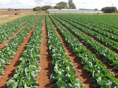 125 ha Farm in Bloemfontein Rural