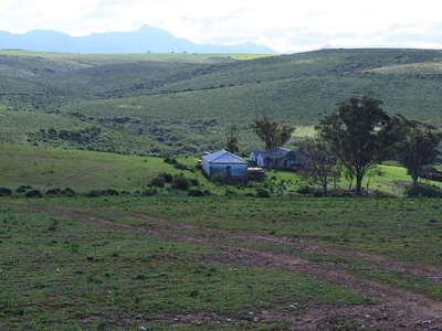 243 ha Farm in Albertinia