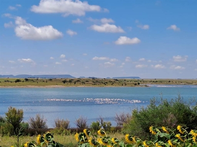 329.8 ha Farm in Bloemfontein Rural
