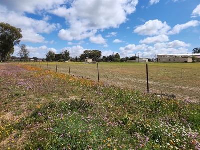 3.5 ha Land available in Nieuwoudtville