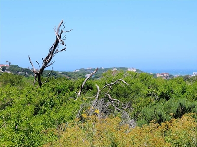 863 m² Land available in Emerald Heights