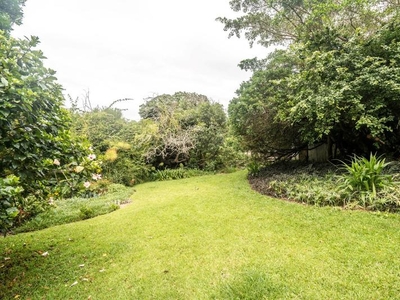 Spacious gem with large garden, landscaped with beautiful established trees.
