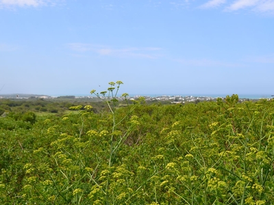 1,129m² Vacant Land For Sale in St Francis Links