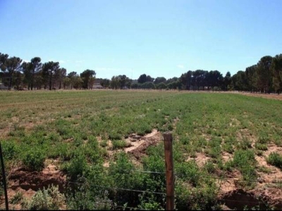 1.2 ha Land available in Loxton