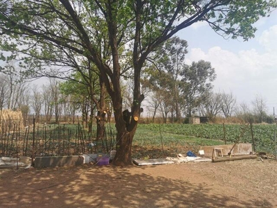 Farm For Sale In Prosperity Ah, Delmas