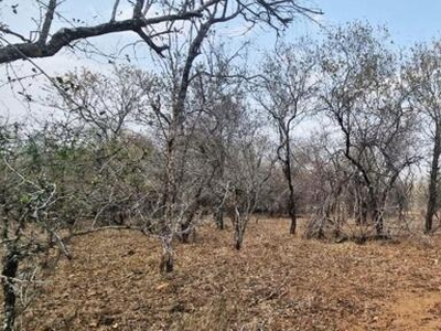 Lot For Sale In Marloth Park, Mpumalanga