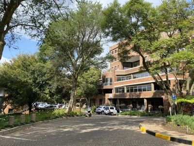 Commercial Property to Rent in Parktown