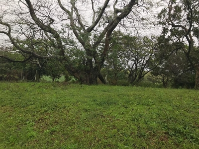 1,002m² Vacant Land For Sale in Felixton