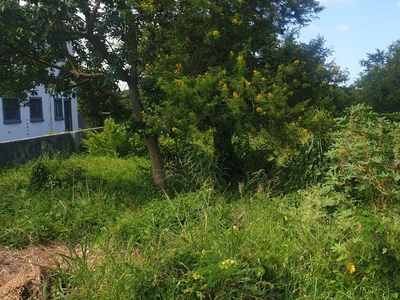 1,175m² Vacant Land For Sale in Birdswood