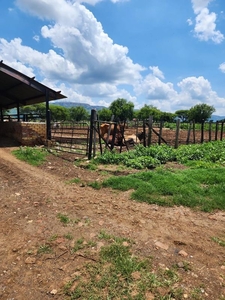 Beautiful 81 Hectare Commercial and Agriculture Farm for sale in Kameeldrift West, Gauteng