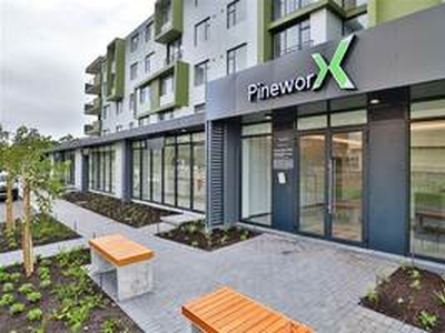 2 Bed Apartment at PineworX in Pinelands, Southern Suburbs Cape Town - Cape Town