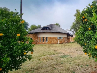 21 ha Farm in Rietfontein