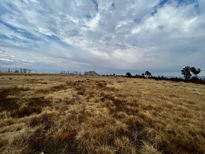Farm For Sale In Fouriesburg, Free State