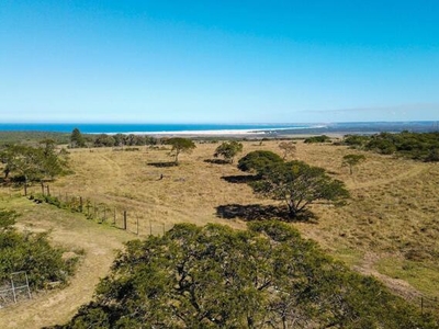 Farm For Sale In Thornhill, Eastern Cape