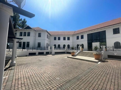 Commercial Property For Rent In Parktown, Johannesburg