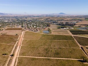 9.9 ha Farm in Wellington Central