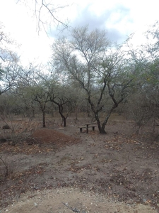 1,700m² Vacant Land For Sale in Marloth Park