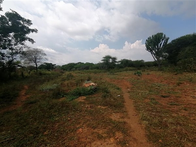 8.5 ha Farm in Polokwane Central