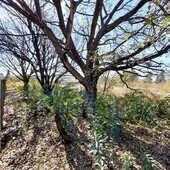 2,552m² Vacant Land For Sale in Daleside