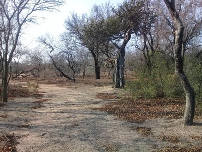 Farm For Sale In Marble Hall, Limpopo