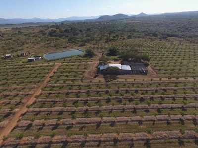 Farm For Sale In Barberton, Mpumalanga