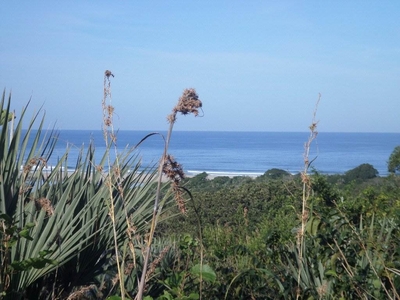 1382 m² Land available in Palm Beach