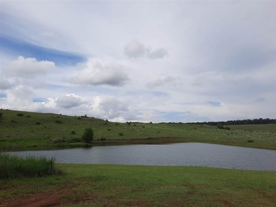 1.5 ha Land available in Dullstroom