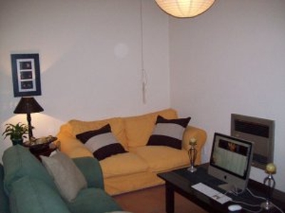 Linden ext - fully furnished sunny, one bedroom flat for rent - Johannesburg