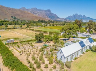 Small Holding for sale with 5 bedrooms, R45 Bathurst, Franschhoek