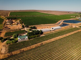 UNIQUE WINE GRAPE FARM OPPORTUNITY!