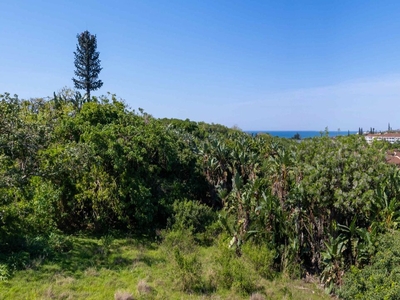527m² Vacant Land For Sale in Shelly Beach