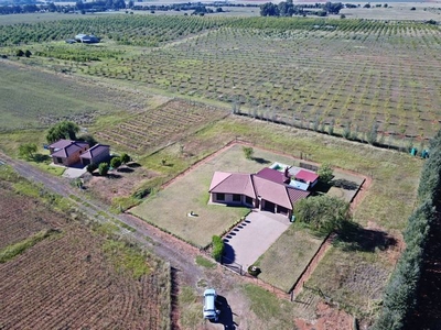10Ha Small Holding For Sale in Bainsvlei