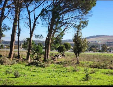 Farm For Sale In Sir Lowrys Pass, Somerset West